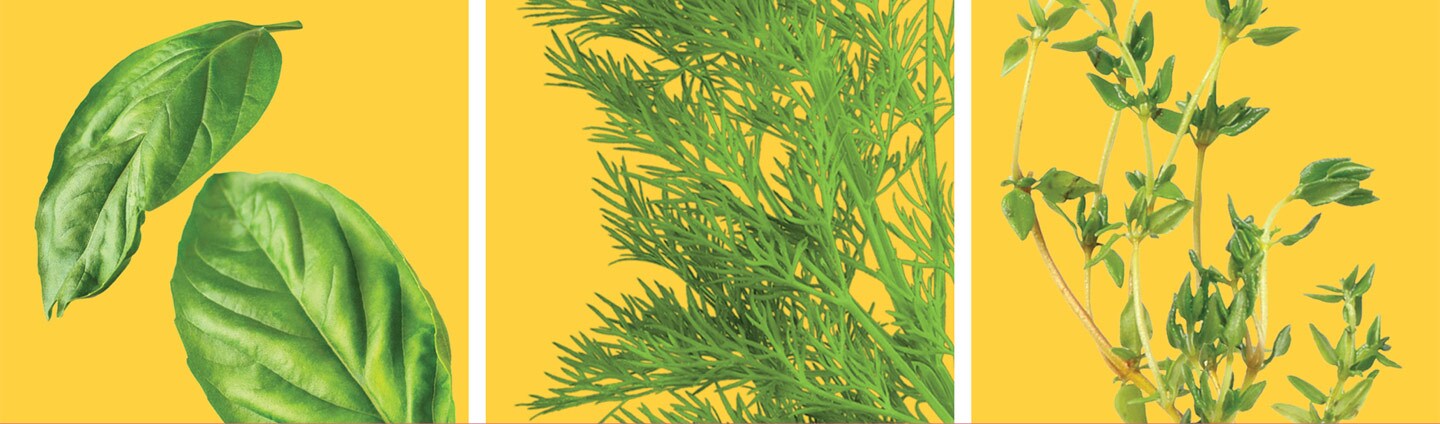 Fresh Herbs