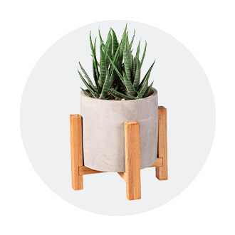 Shop Home Decor