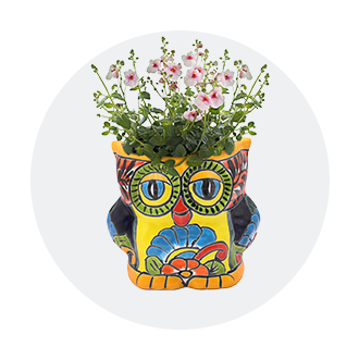 Planters