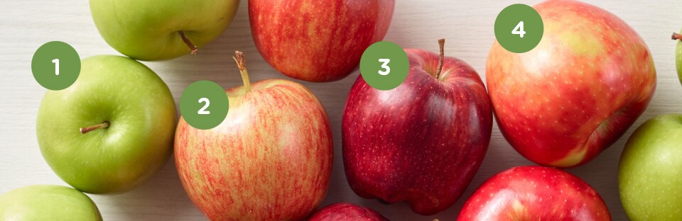 apple varieties