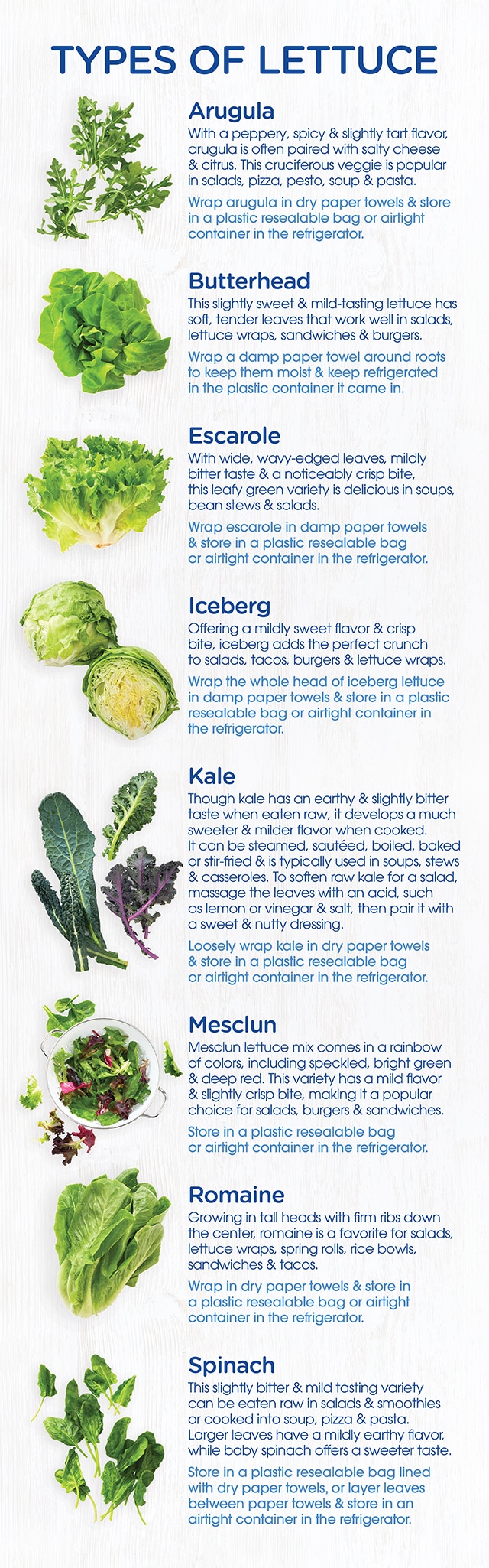Types of Lettuce