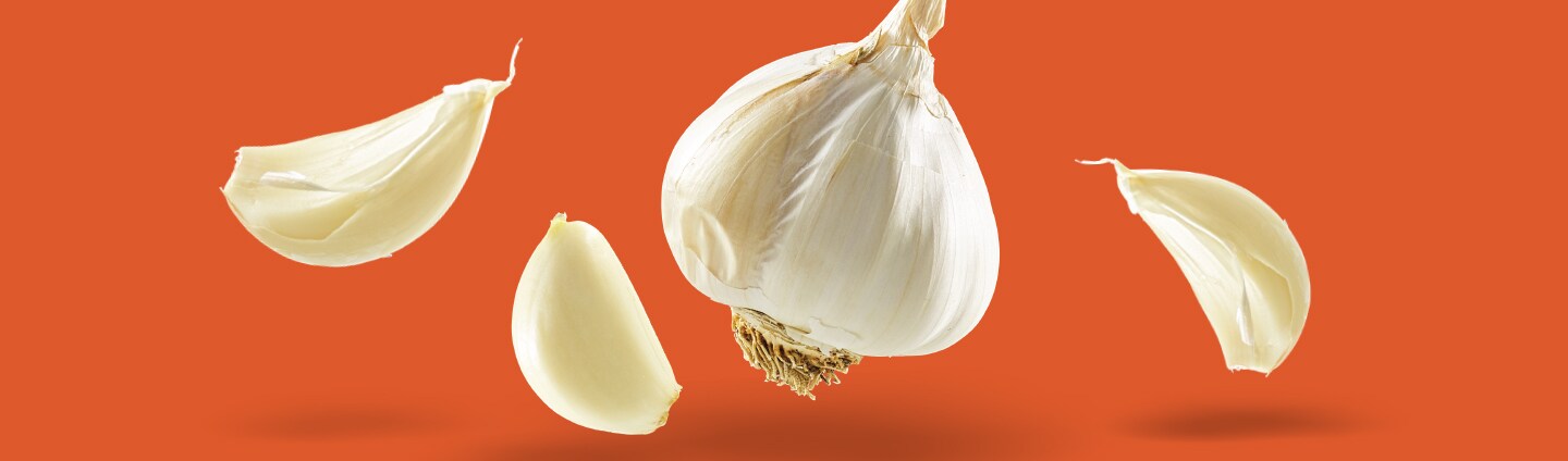 Garlic