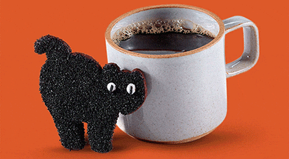 Cat cookie with coffee