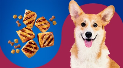 Pet Pride Dog Food Cat Food Treats Toys Kroger Fred Meyer