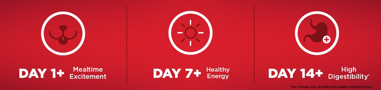 DAY 1+ Mealtime Excitement, DAY 7+ Healthy Energy, DAY 14+ High Digestibility DAY 1+ Mealtime Excitement, DAY 7+ Healthy Energy, DAY 14+ High Digestibility
