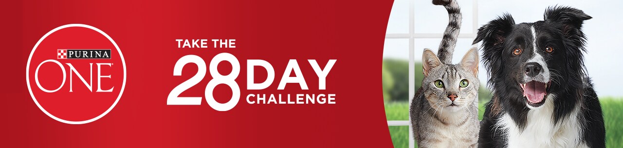 Take the 28 Day Challenge Take the 28 Day Challenge