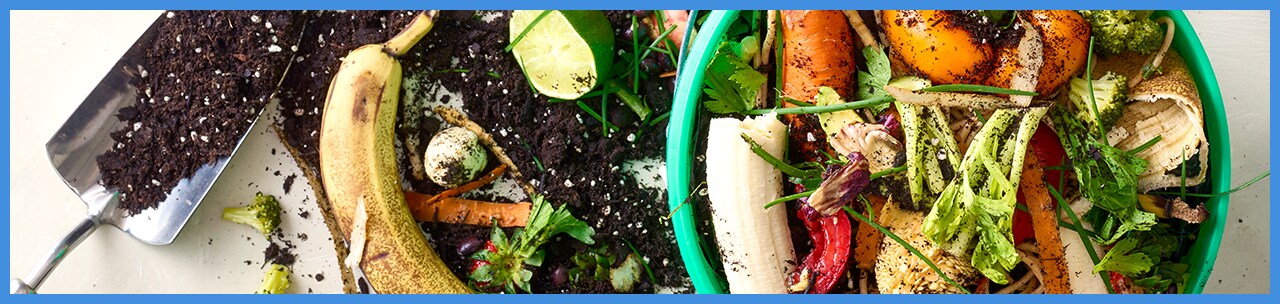 Steps to Successful Composting at Home Steps to Successful Composting at Home