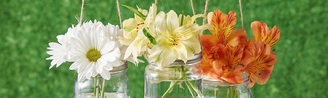 Three mason jars filled with water hang from rope, inside each one is a different colored flower